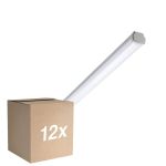 Mehrfachpackung 12x Philips LED Feuchtraumleuchte WT060C 20W 2500lm - 840 Kaltweiß | 120cm